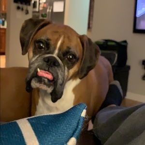 Meet your Posher, John